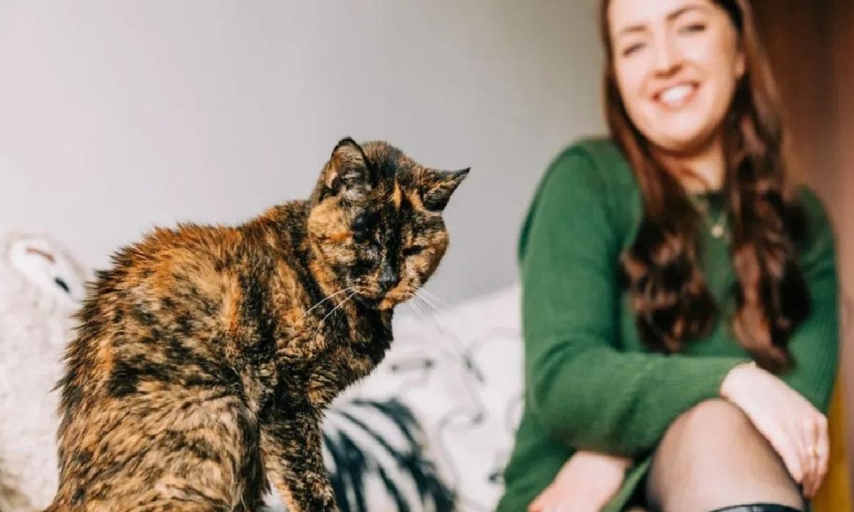 Guinessin Yaşayan En Yaşlı Kedisi: Flossie Hakkında Yeni Bilgiler