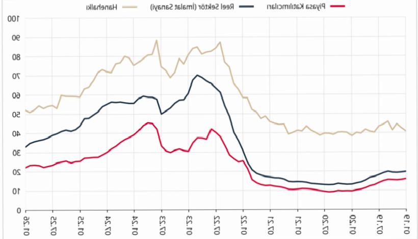 Enflasyon Tahminlerinde Makas Açıldı: Piyasa Düşüşü Öngörüyor, Hanehalkı Endişeli