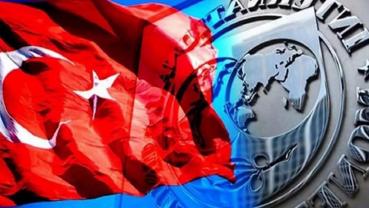 IMF'den Çarpıcı Türkiye Raporu: İlk Kez İncelenen Bir Analiz