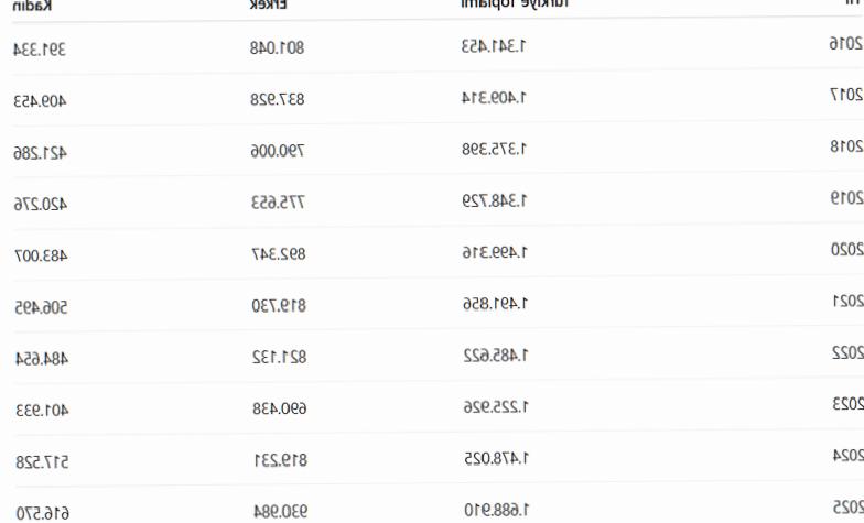 Kadınlardan Konut Atağı: 10 Yılda Yüzde 57,5 Artış