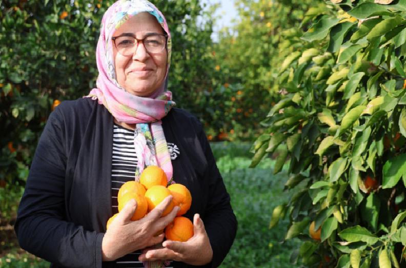 Kozan Kadınlarının İmece Usulü Turunç Reçeli ve Ekşisiyle Ekonomiye Dönüşüm