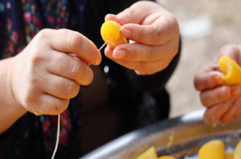 Kozan Kadınlarının İmece Usulü Turunç Reçeli ve Ekşisiyle Ekonomiye Dönüşüm