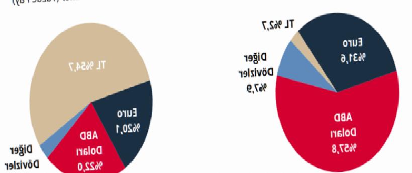 Özel Sektörün Yurt Dışı Kredi Borcu 213,3 Milyar Dolara Yükseldi