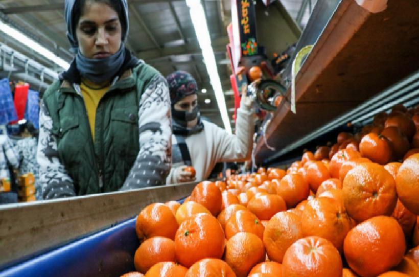 Türkiye Narenciye İhracatında Rekor Umudu: 1,47 Milyar Dolarla Yeni Dönem Başladı