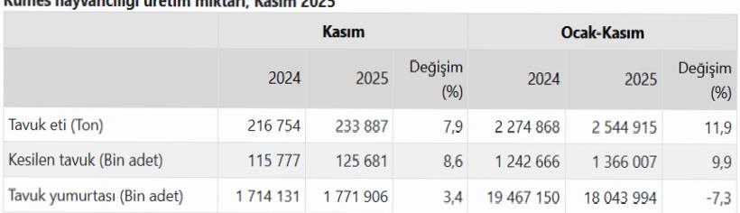 Türkiye’de Kümes Hayvancılığı: 2025 Kasım Verileri ve Yıllık Karşılaştırmalar