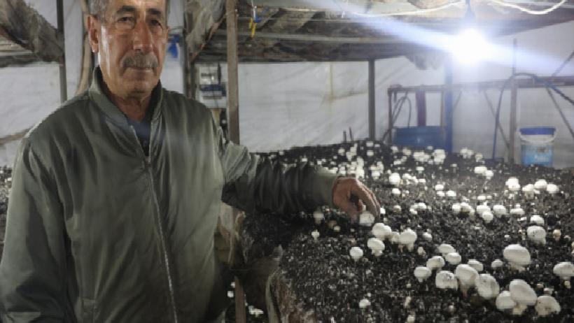 Dolar ve Altınını Bozdurup Kurdu, Şimdi Tüm Akdeniz’e Satıyor