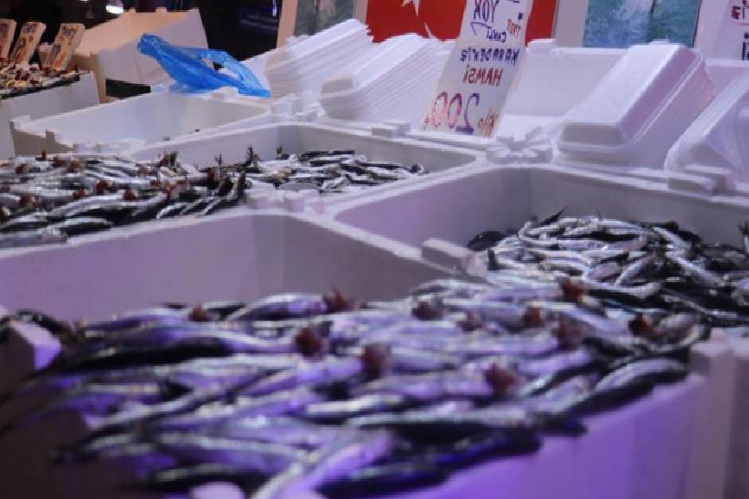 Hamsi Yurda Döndü: Tezgahlardaki Fiyat Ateşi Düşüyor