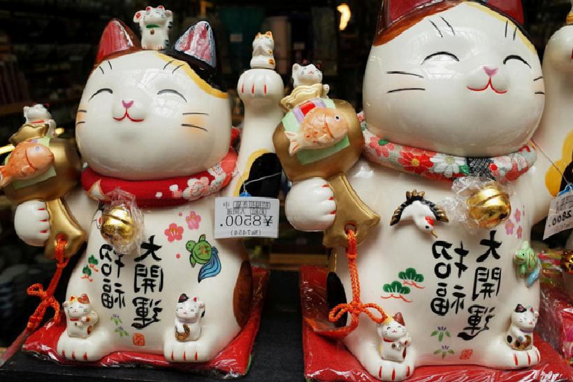 Japonyada 20 Milyar Dolarlık Kedi Günü: Türkiye'den Yaşam Senfonisiyle Büyüleyen Anlar