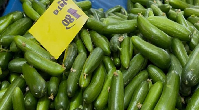 Seralar Su Baskınına Karşı Kayıtlar: Tezgâh Fiyatları Yükselişiyle Karşılaşıyor