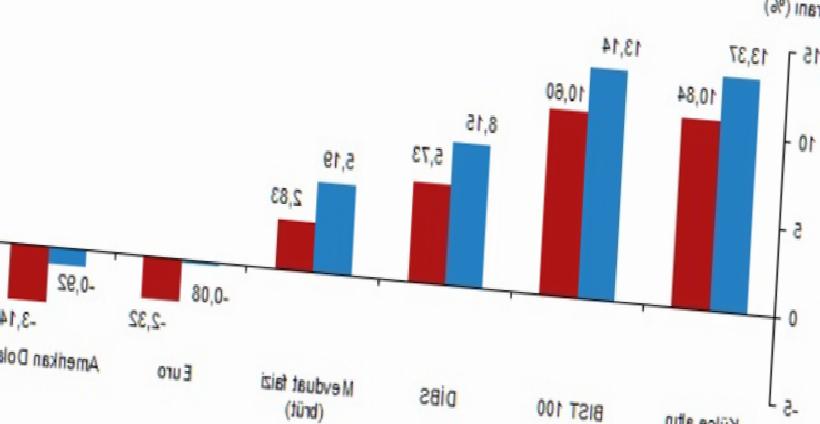 TÜİK Açıklamasıyla Reel Getiride Altın Farkı Dolar Yatırımcısını Üzdü: Benzersiz Başlık
