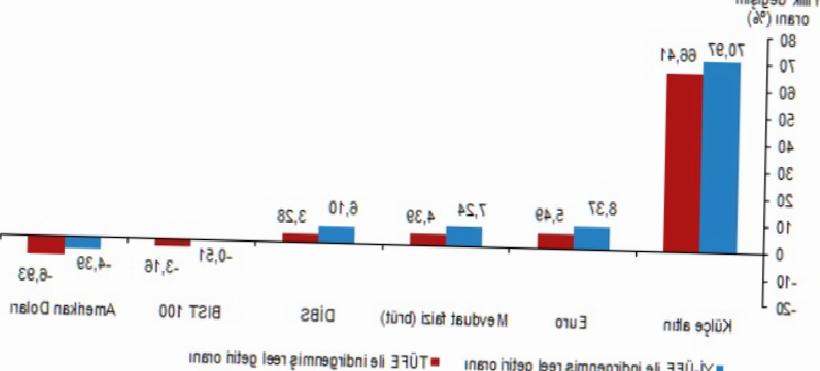 TÜİK Açıklamasıyla Reel Getiride Altın Farkı Dolar Yatırımcısını Üzdü: Benzersiz Başlık