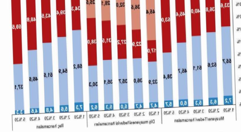 TÜİK Sağlık Modülü 2025: Hanelerin Sağlık Harcamaları Altında Bıraktığı Yük Devam Ediyor