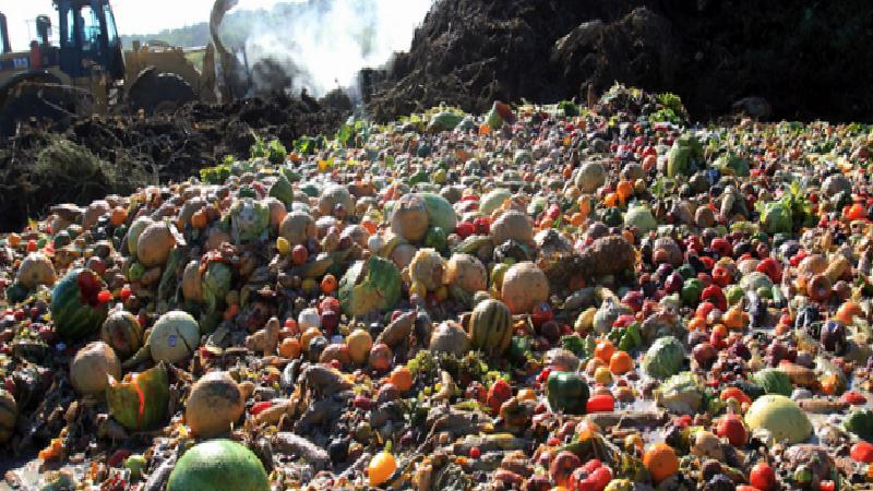 Ülkemizde Yılda 23 Milyon Ton Gıda İsrafı: Acı Rapor Ortaya çıktı