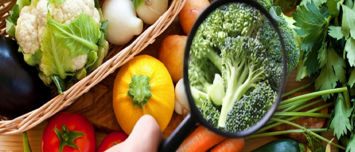 Ülkemizde Yılda 23 Milyon Ton Gıda İsrafı: Acı Rapor Ortaya çıktı