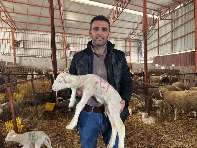 Bir Milyonluk Koç: Türkiye Kuzuları İçin Yatırımı Altı Katına Çıkaracak Sıradaki Fırsat