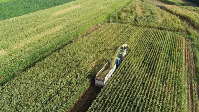 Kadın Çiftçiler ve Üreticiler İçin Yeni Dönem: 65,5 Milyarlık Kırsal Kalkınma Paketi