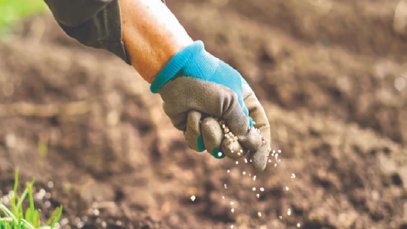 Orta Doğu’daki Savaşın Gübre Piyasasına Darbesi: Fiyatlar Hızla Artıyor