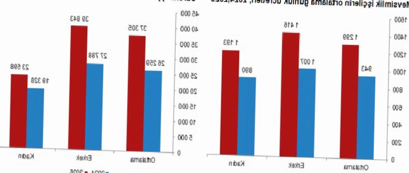 Tarımda Ücretler Yükseldi: Mevsimlik İşçinin Aylık Maaşı 37 Bin TL’yi Aştı