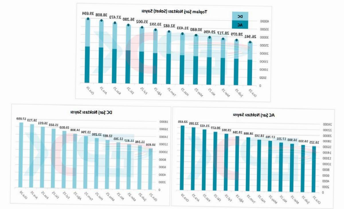 Türkiye’deki Elektrikli Araç Sayısı ve Şarj Soketi Sayısı: Araç Başına Düşen Şarj Soketi Miktarı Neler? (Güncel Veriler)
