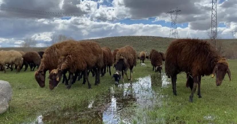 120 Bin Liraya Çalışacak İşçi Bulamıyorlar: Yeni Nesil Bu Sektöre Niaşlaşmıyor
