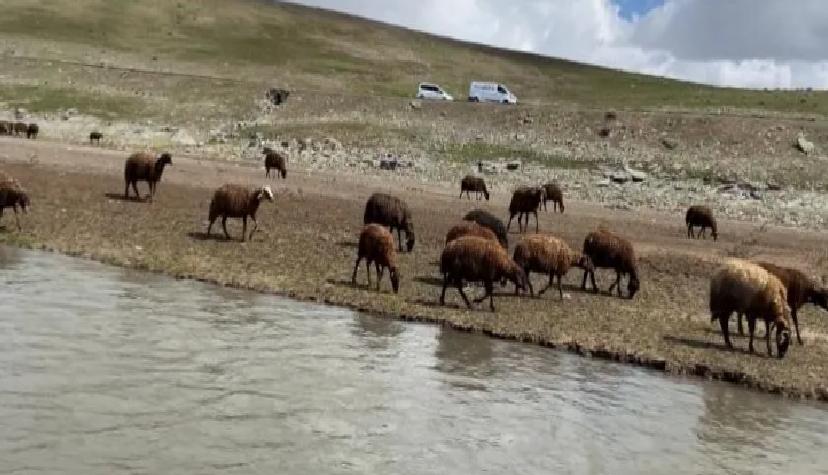 120 Bin Liraya Çalışacak İşçi Bulamıyorlar: Yeni Nesil Bu Sektöre Niaşlaşmıyor