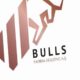 bulls yatirimdan astor guncellemesi icin ozgun baslik UYhKk88K 80x80