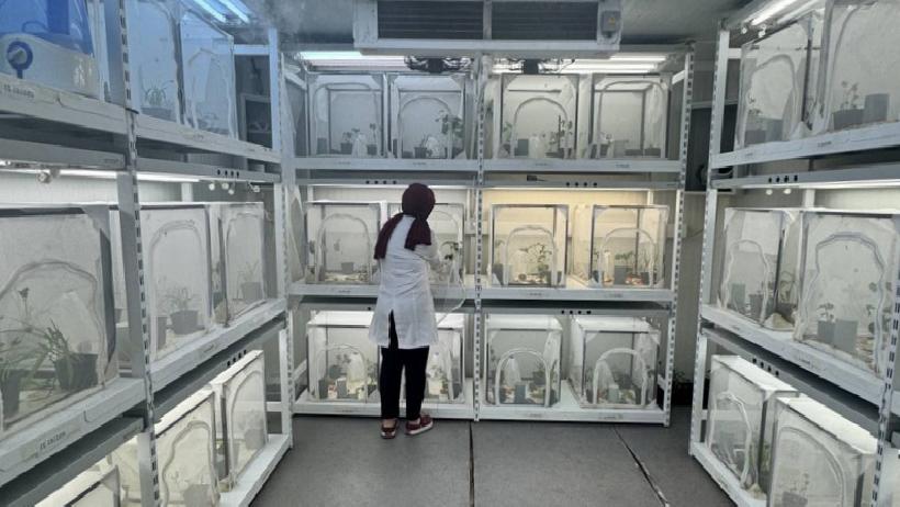 Fındık İçin Son Hamle: 40 İlde Başlatılan Sessiz Operasyon