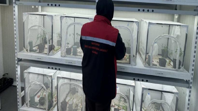 Fındık İçin Son Hamle: 40 İlde Başlatılan Sessiz Operasyon