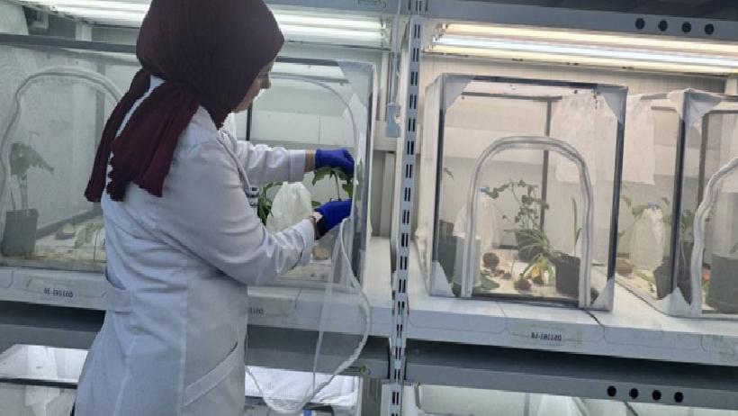 Fındık İçin Son Hamle: 40 İlde Başlatılan Sessiz Operasyon