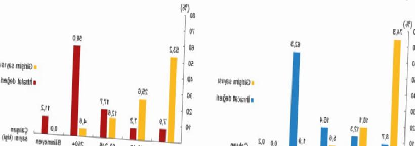Hizmet Ticareti Dengelerini Büyükler Belirledi: İhracatta Yüzde 62 Pay