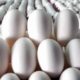 ihracat kotasi 5 katina cikti yumurtada fiyat artisinin basladigi endisesi 87JEuD3E 80x80