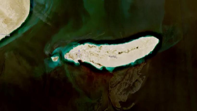 Körfezde Çevre Felaketi: Milyonlarca Canlı Tehlike Altında