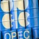 savasin faturasi buyuyor opec arz icin uyardi 7h6PyubE 80x80