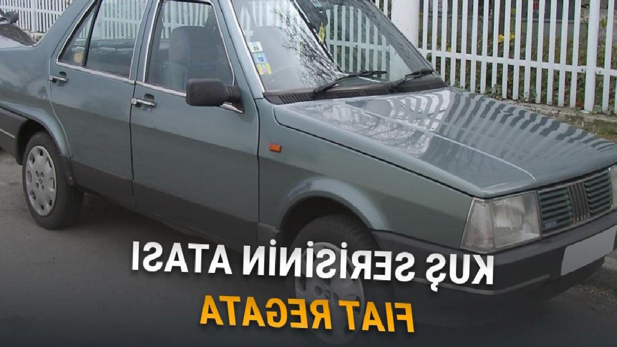 Tofaşın Kuş Serisi Şahin: Doğan ve Kartalın Atası Fiat Regata