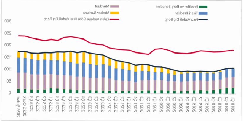 Türkiye’nin Kısa Vadeli Dış Borcu 173,5 Milyar Dolara Yükseldi