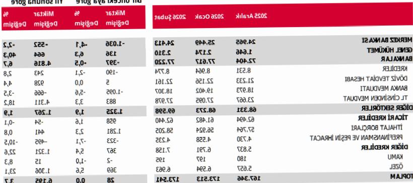 Türkiye’nin Kısa Vadeli Dış Borcu 173,5 Milyar Dolara Yükseldi